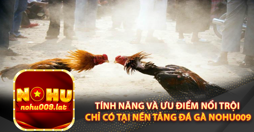 Tính năng và ưu điểm nổi trội chỉ có tại nền tảng đá gà Nohu009